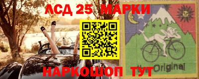 гидра Бердск