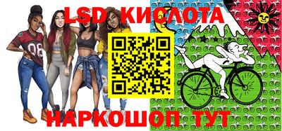 гидра Бердск
