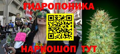 гидра Бердск