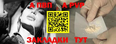 гидра Бердск