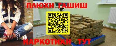 гидра Бердск