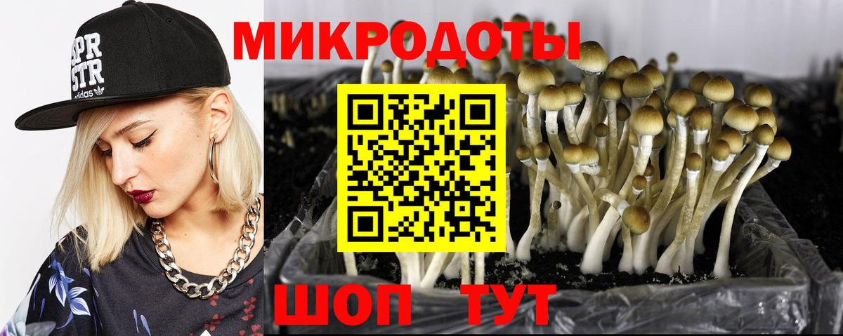 Меф МЯУ МЯУ   Сосновый Бор  Марихуана  Гашиш  Вход с VPN  ГАШИШ 